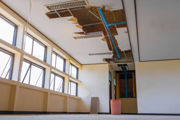 Best Water damage contractors near me  in Springville, VA
