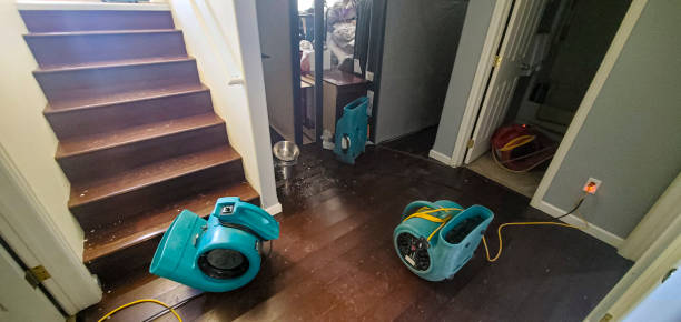 Best Professional water damage repair  in Springville, VA