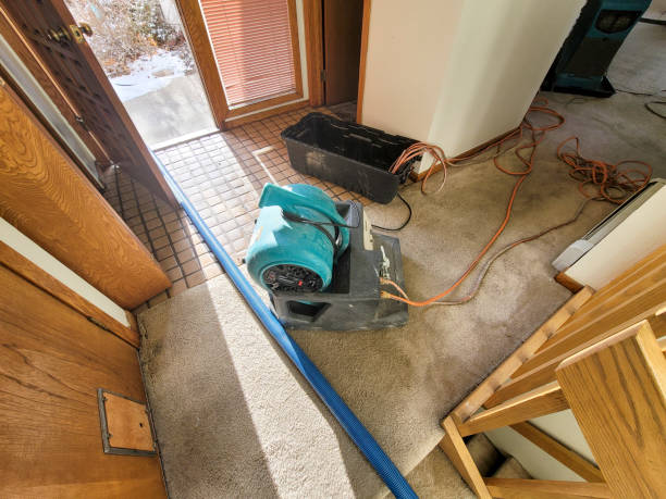 Best Basement water damage restoration  in Springville, VA