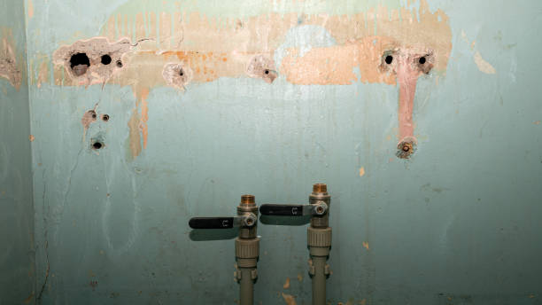 Best Water damage cleanup near me  in Springville, VA