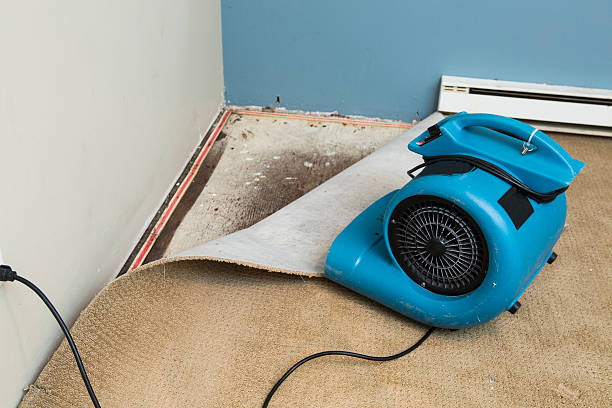 Best Ceiling water damage repair  in Springville, VA